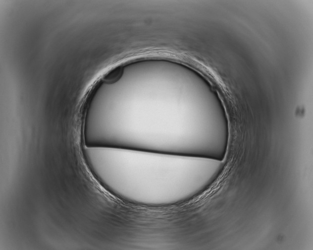 X0000101151504200806270747