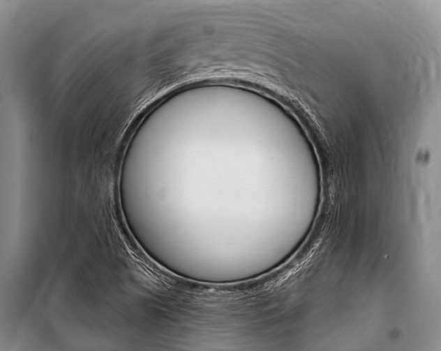 X0000101151505200806270747