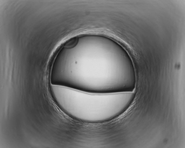 X0000101151506200806270747