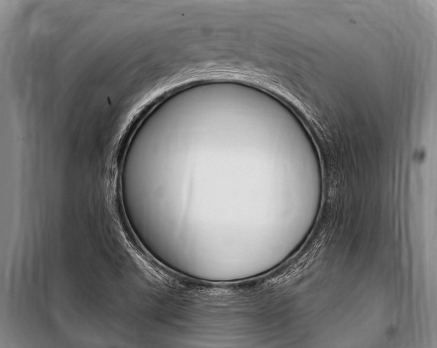 X0000101151507200806270747