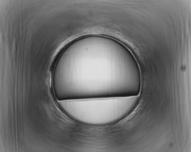 X0000101151509200806270747