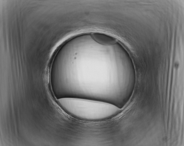 X0000101151510200806270747