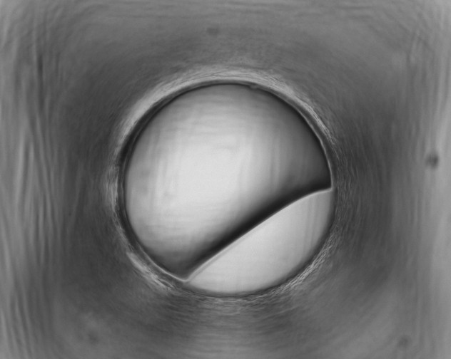 X0000101151511200806270747