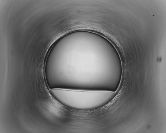 X0000101151513200806270747