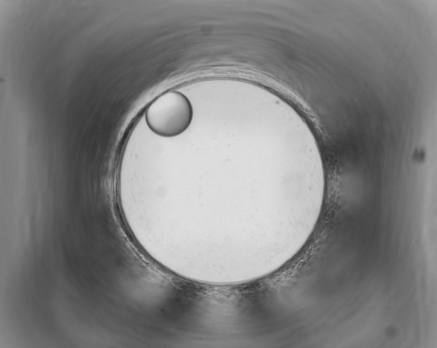 X0000101151514200806270747
