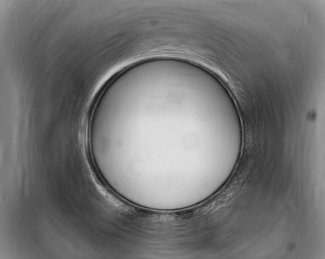 X0000101151515200806270747