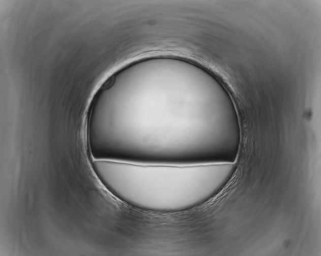 X0000101151516200806270747