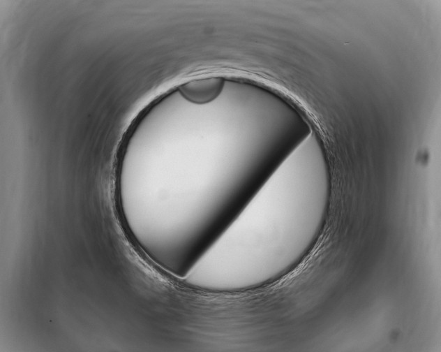 X0000101151518200806270747