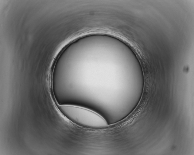 X0000101151519200806270747