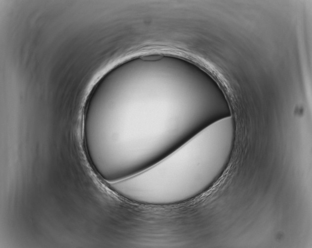 X0000101151520200806270747