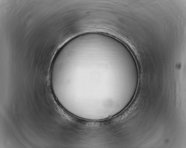 X0000101151521200806270747
