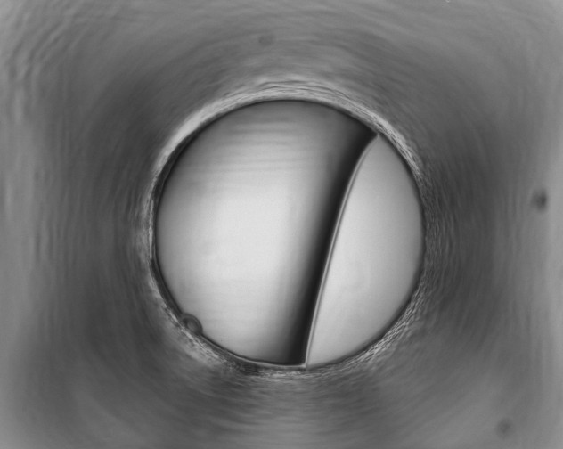 X0000101151522200806270748