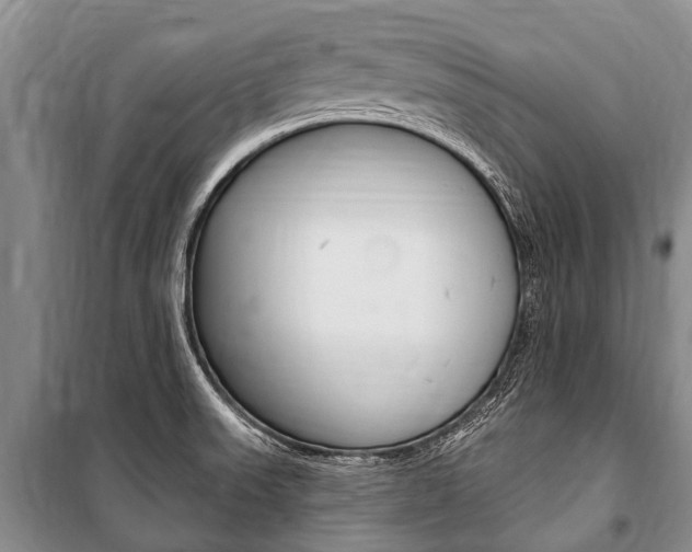 X0000101151523200806270748