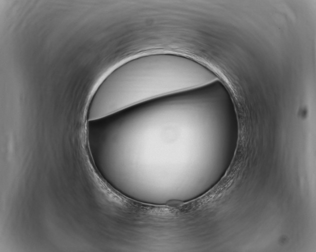 X0000101151524200806270748