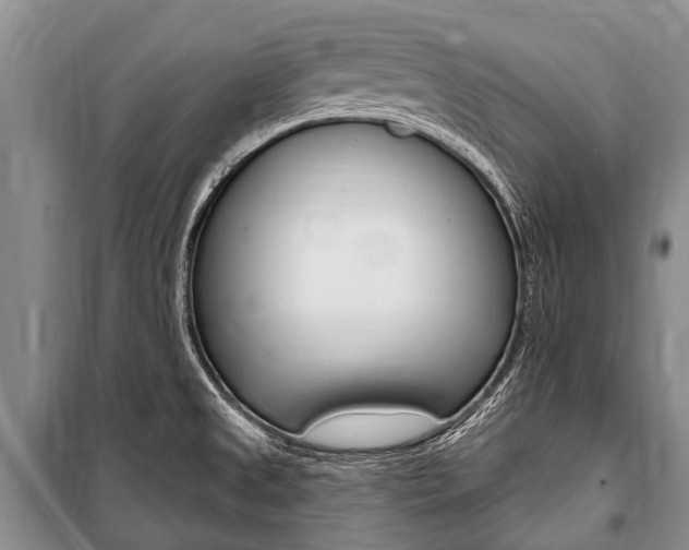 X0000101151525200806270748