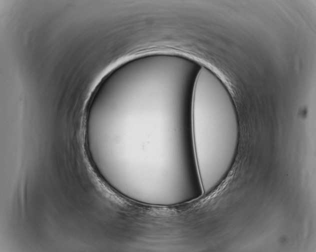 X0000101151526200806270748