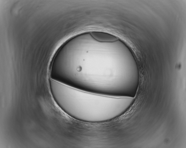 X0000101151527200806270748