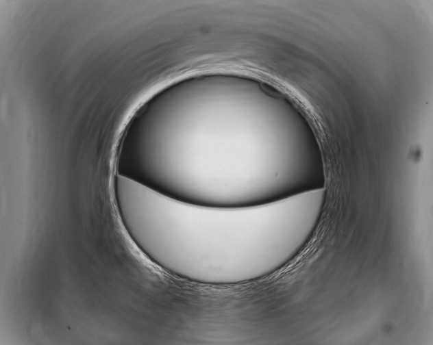 X0000101151528200806270748