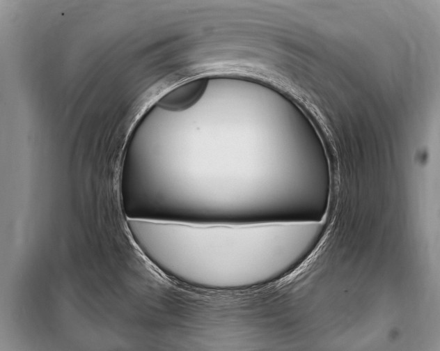 X0000101151529200806270748