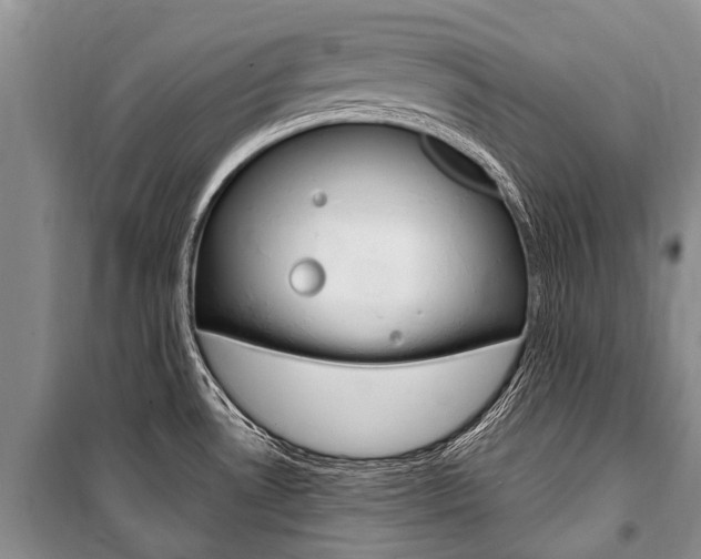 X0000101151530200806270748