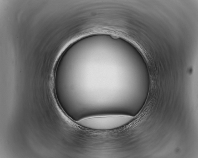 X0000101151531200806270748