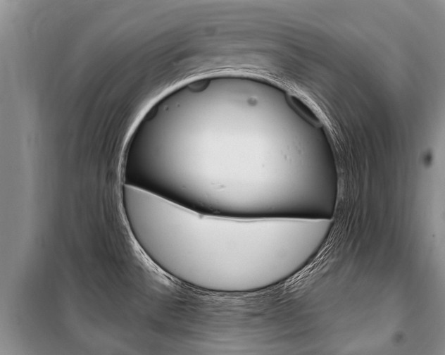 X0000101151532200806270748