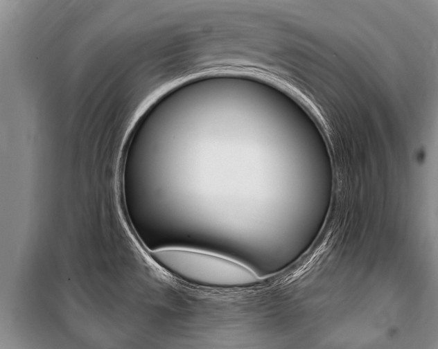 X0000101151533200806270748