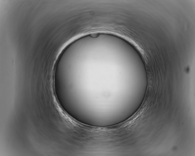 X0000101151534200806270748