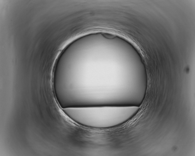X0000101151535200806270748