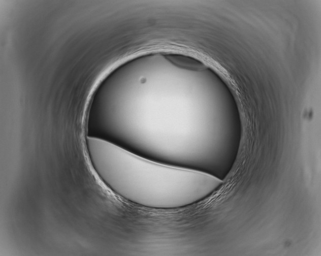 X0000101151536200806270748