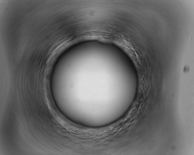 X0000101150001200806270954