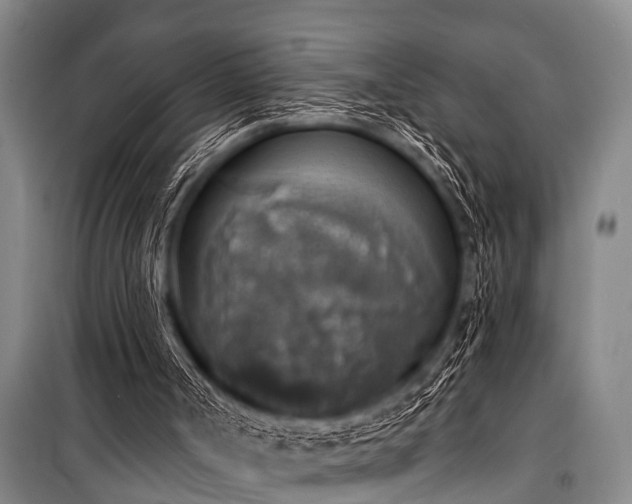 X0000101150002200806270954