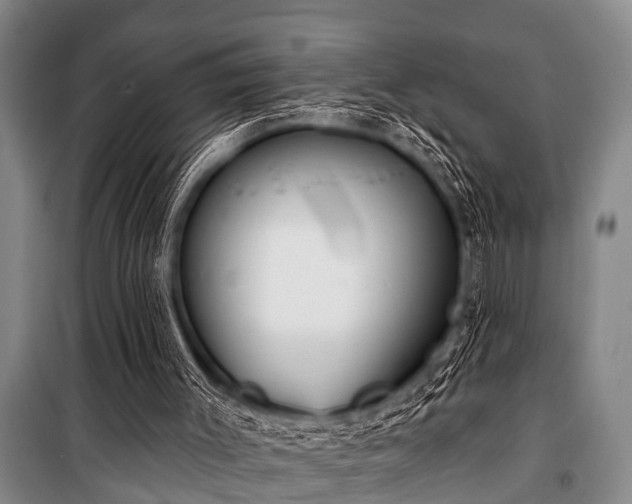 X0000101150003200806270954