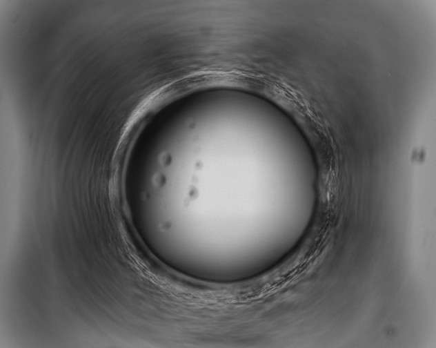 X0000101150004200806270954