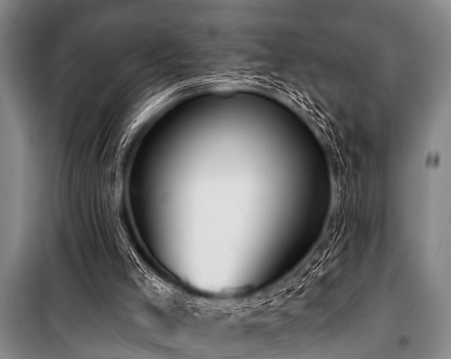 X0000101150005200806270954