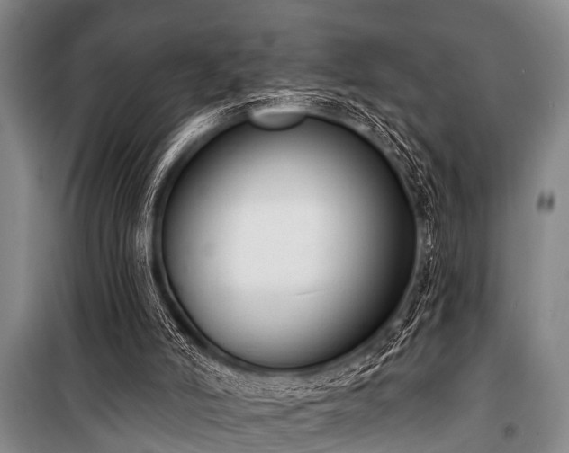 X0000101150006200806270954