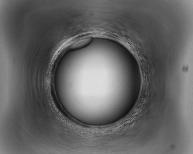 X0000101150007200806270954