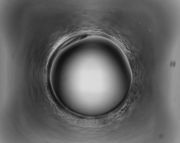 X0000101150008200806270954