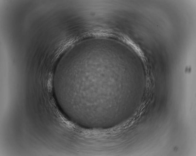 X0000101150009200806270954