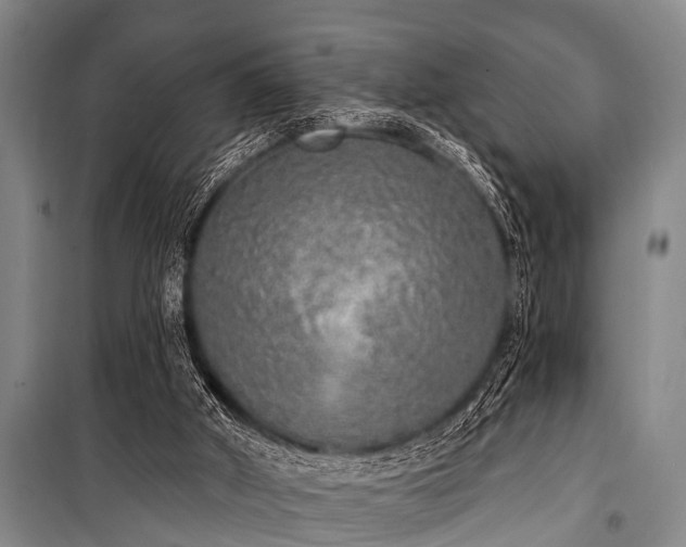 X0000101150010200806270954