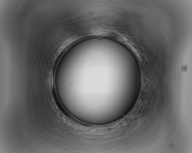 X0000101150011200806270954