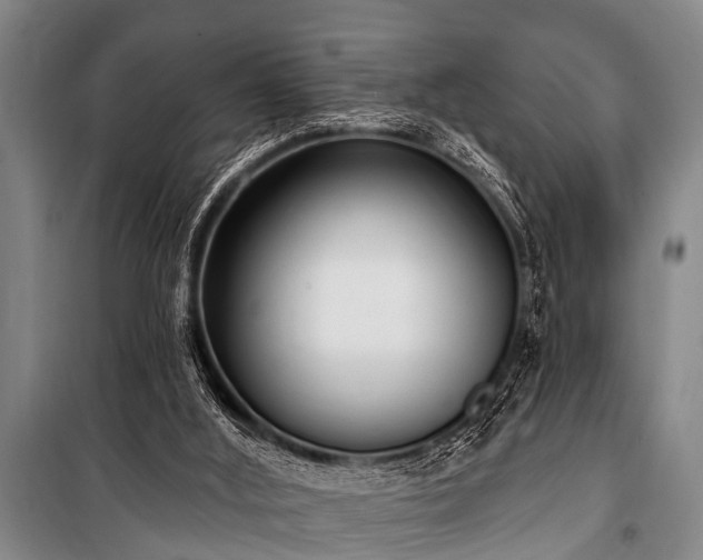 X0000101150012200806270954