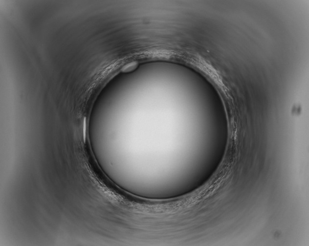 X0000101150013200806270954