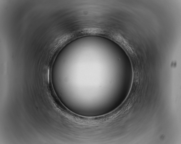 X0000101150014200806270954