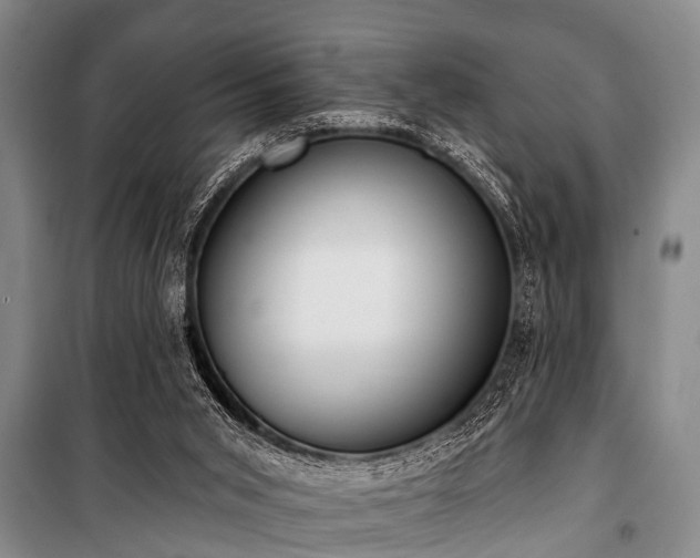 X0000101150015200806270954