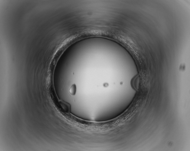 X0000101150016200806270954