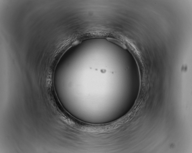 X0000101150017200806270954