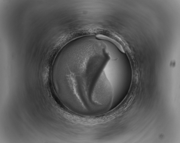 X0000101150018200806270954