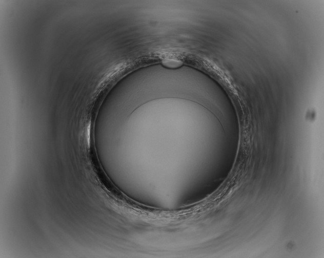 X0000101150019200806270954