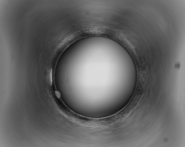 X0000101150020200806270954